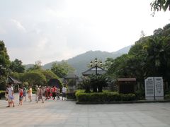 -鼎湖山风景区