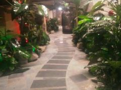 -泉城欧乐堡戏水湾艺术养生温泉