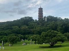 -红花山公园