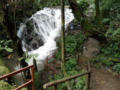 -莫里热带雨林景区