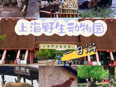-上海野生动物园
