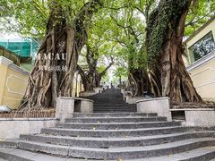 -龙环葡韵住宅式博物馆