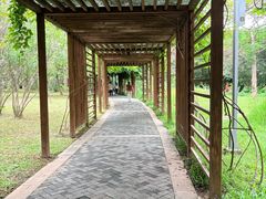 -福田红树林生态公园