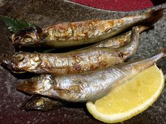 -水之惠鲜鱼料理(王府大街店)