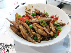 -壹盏灯(惠农店)