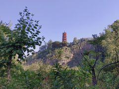 -南沙蒲洲花园