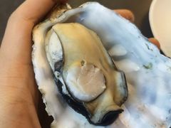 -蚝美人·生蚝海鲜烧烤(茶花园店)