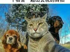 -袁记串串香(和县镇淮街店)