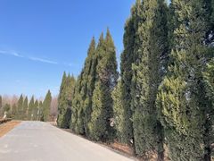 -汉景帝阳陵博物院