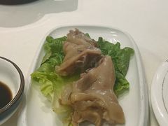 -丁老爷子苏香圆
