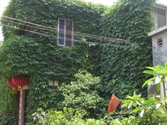 -小洲村