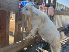 -太阳岛旅游度假区