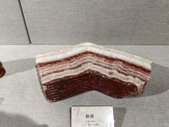 -安徽省地质博物馆