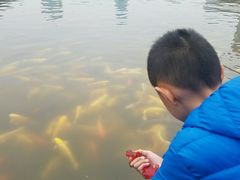 -文瀛公园