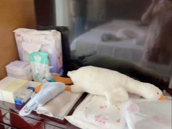 -大美母婴月子中心(吴中店)