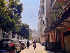 -长洲岛
