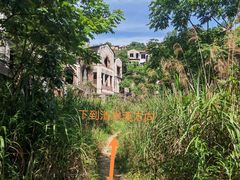 -南山植物园