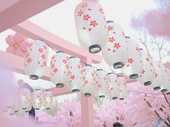 -金茂览秀城