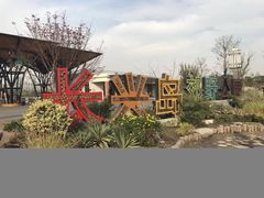 -上海长兴岛郊野公园