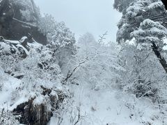 -九峰山