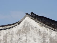 -艺圃