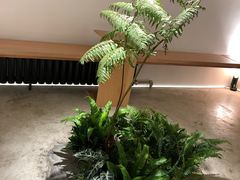 -光作面包Voila Lumiere(中山店)