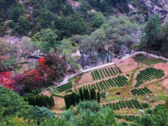 -崂山巨峰游览区