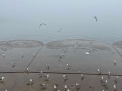 -星海广场