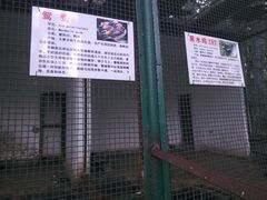 -甘棠公园