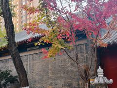 -护国法轮寺
