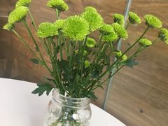 -茶缸AMOKKA COFFEE