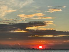 -宝安西湾红树林湿地公园