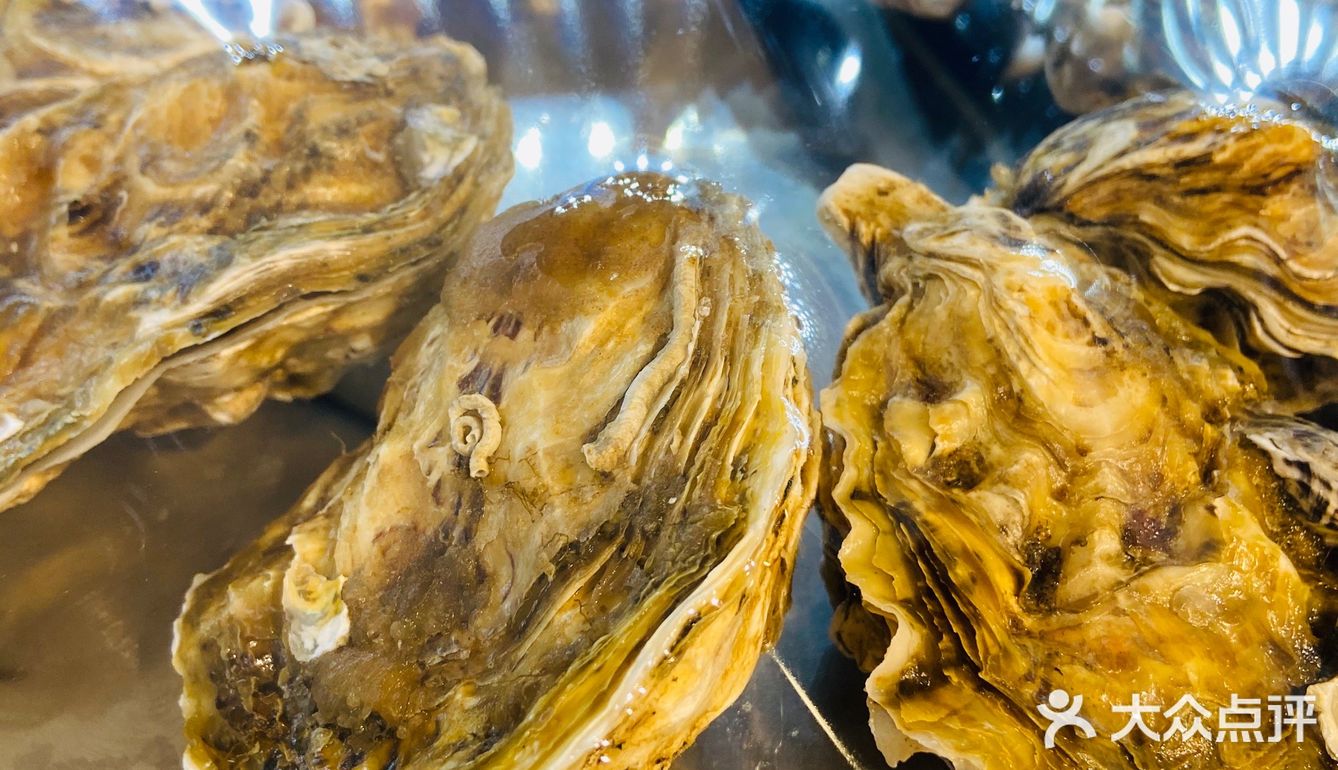 烧烤篇🍢(88D烤生蚝)