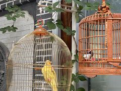 -悦真雅院·四合院·清真私房菜(雍和宫店)