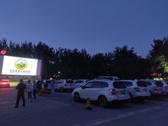 -枫花园汽车电影院(朝阳公园店)