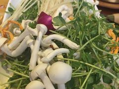 -慢丽江·云南野生菌土鸡锅(西山店)
