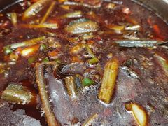 石锅鳝鱼-乐氏荤豆花