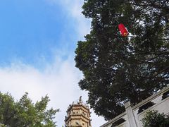-船政文化景区-罗星塔公园