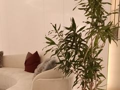 -守田肩颈·推拿SPA(颐豪旗舰店)