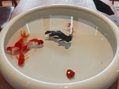 -花城苑广府菜(侨鑫店)