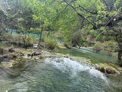 -九寨沟-树正沟