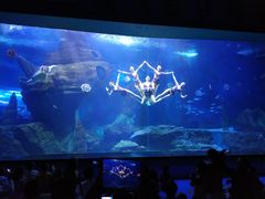 -多彩贵州城极地海洋世界