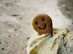 米兰圣诞面包-Dal Cuore 达可芮冰淇淋(陕西北路店)