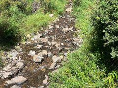 -苏木山森林公园