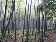 -玉女潭景区