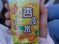 杏皮水-壹阁胡羊焖饼(特色小吃街店)