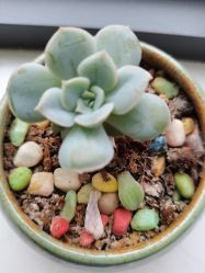 -尚艺造型.剪烫染.接发