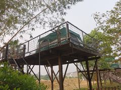 -南丹山森林王国
