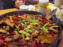 -老板恋上鱼(恒隆广场店)