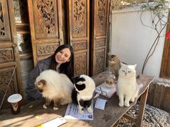 -喵屿·大理花园猫咖